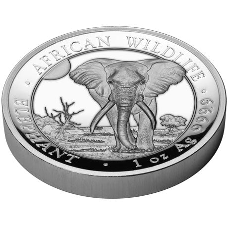 2025 Somalia 100Sh African Elephant High Relief 1oz Silver Proof Coin