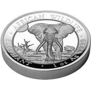 2025 Somalia 100Sh African Elephant High Relief 1oz Silver Proof Coin