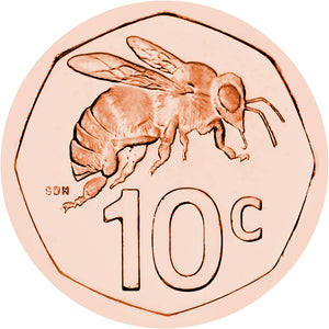 World Coins Advent Calendar (2025)
