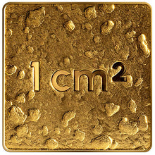 2025 Latvia 10€ Our Land Gold Coin