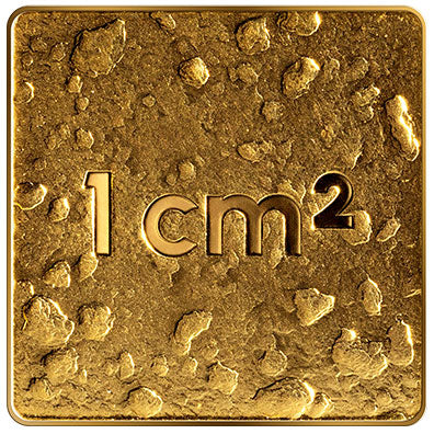 2025 Latvia 10€ Our Land Gold Coin