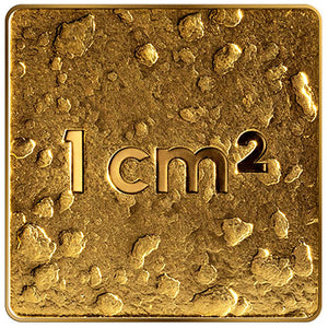 2025 Latvia 10€ Our Land Gold Coin