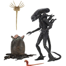 Aliens 40th Anniversary Big Chap 7" Scale Action Figure