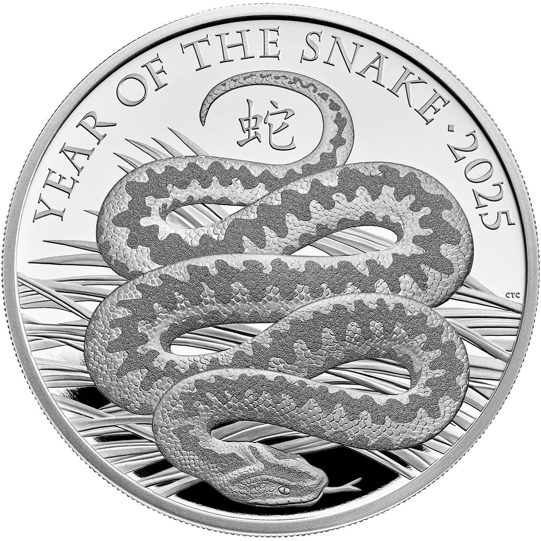 2025 UK £2 Year of the Snake 1oz Silver Proof