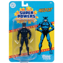 DC Super Powers Wv14 -  Wildcat 4.5" Scale Action Figure