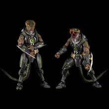 Cosmic Character Packs 2 -Experiment CC-24 Upgrade Set