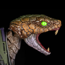 Cosmic Character Packs 2 -Experiment CC-24 Upgrade Set