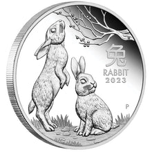 2023 50c Year of the Rabbit 1/2oz Silver Proof Coin