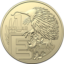 2022 $1 A-Z Coin Hunt Collection Roll & Album