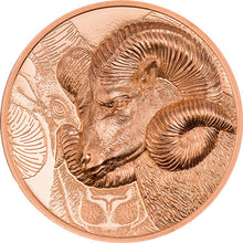 2022 Mongolia 250Tg Wild Mongolia - Magnificent Argali 50g Copper Coin