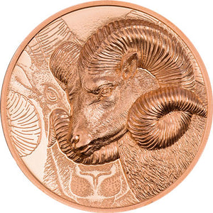 2022 Mongolia 250Tg Wild Mongolia - Magnificent Argali 50g Copper Coin